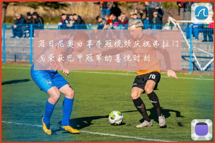若日尼奥分享夺冠视频庆祝弗拉门戈荣获巴甲冠军的喜悦时刻