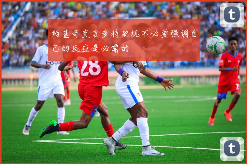 约基奇直言多特犯规不必要强调自己的反应是必需的